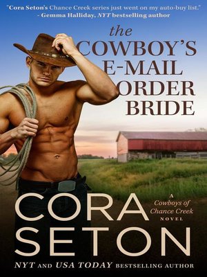 The Cowboy's E-Mail Order Bride - ebook